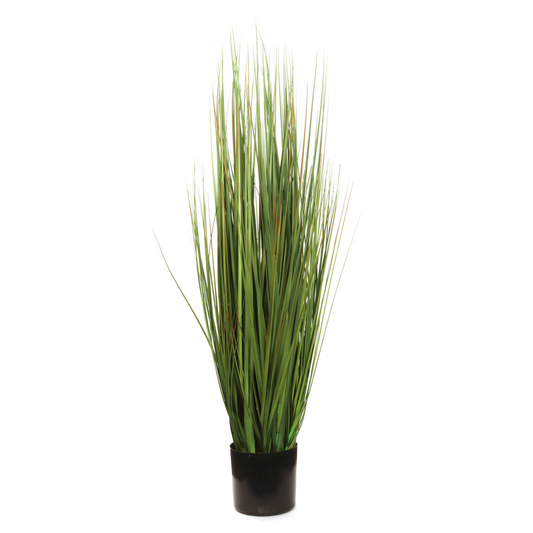 3ft Grass Bush in Black Pot