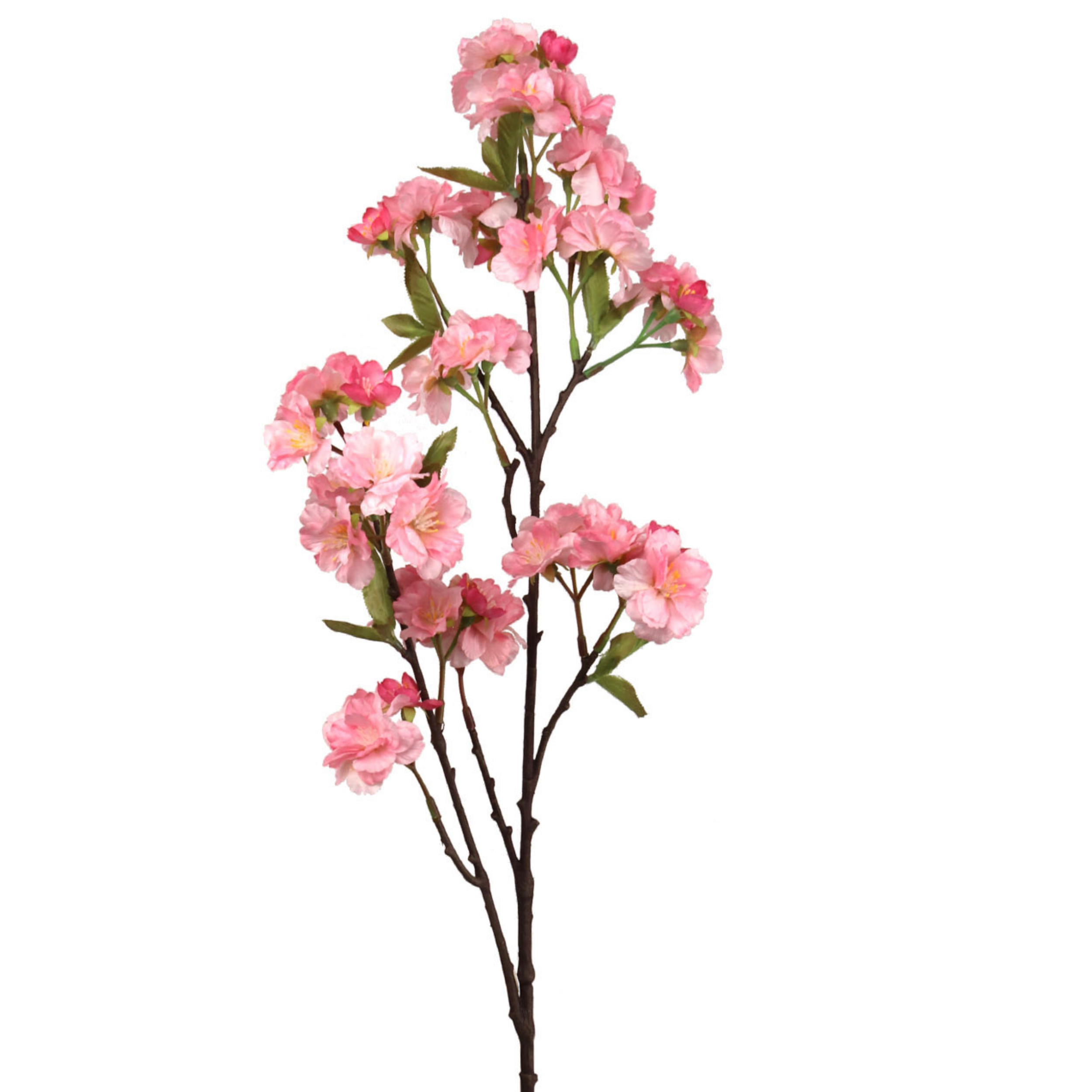 Cherry Blossom Branch Spray - 32" - Larksilk