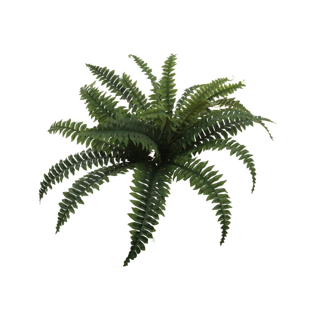 Boston Fern Plant with 25 Silk Fronds - 28" Wide - Larksilk