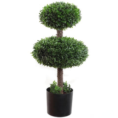 27" Double Boxwood Topiary Tree in Black Pot