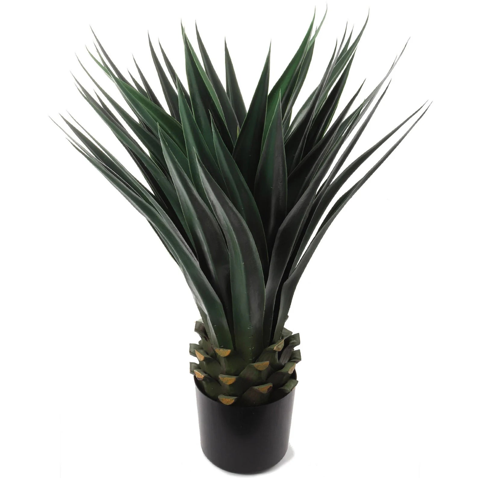 36" AGAVE W/50 LVS IN POT - Larksilk