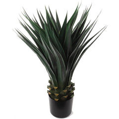 36" AGAVE W/50 LVS IN POT - Larksilk
