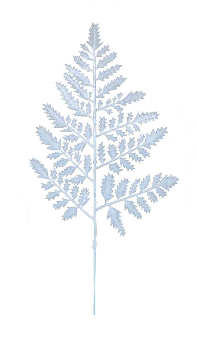 11" LEATHER LEAF 2024 Christmas Collection - Larksilk