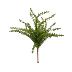 17" Cedar Bush - Larksilk