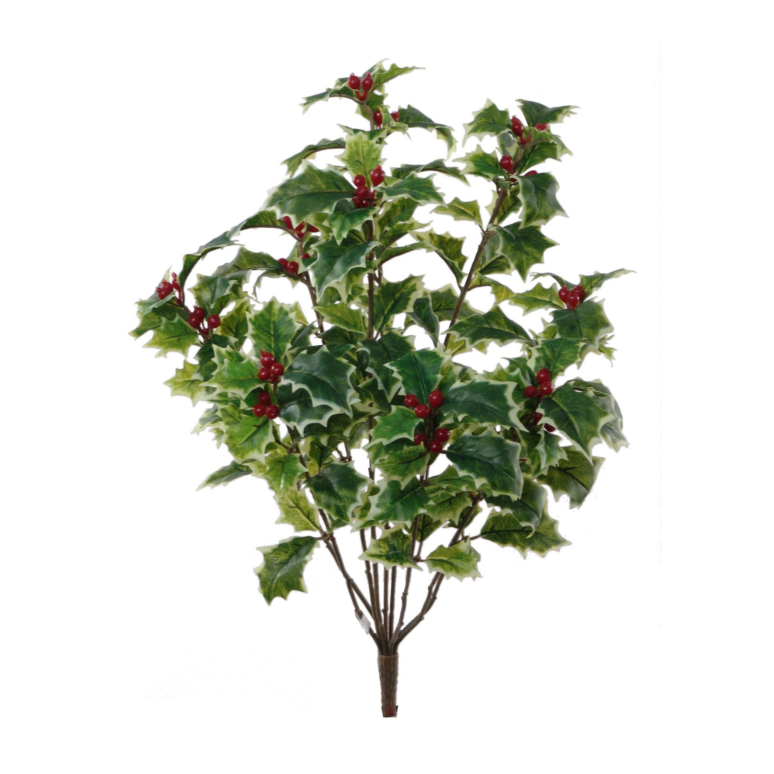 18" Holly Bush with 178 Red Berries - 171 Green White Leaves - Larksilk
