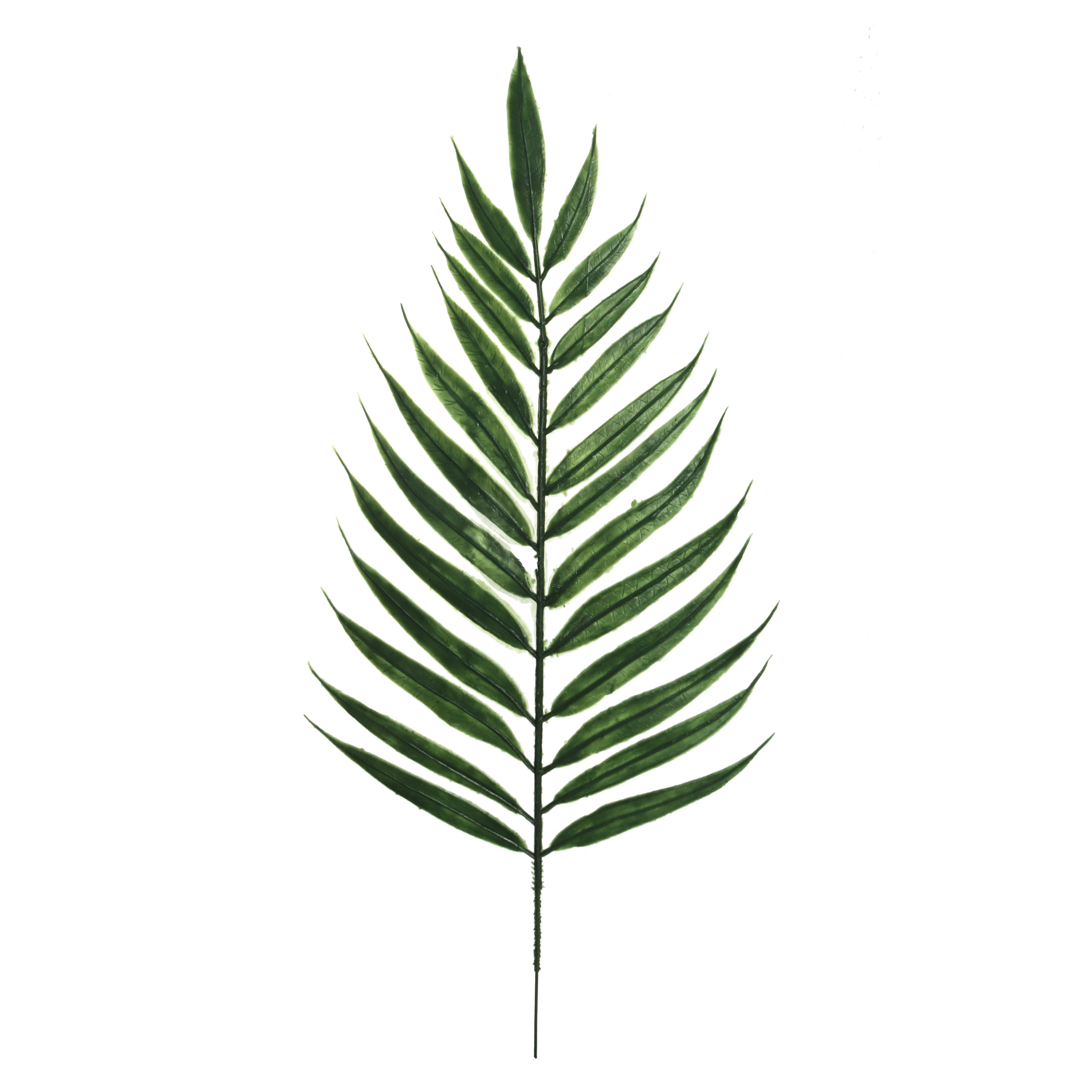 17" Emerald Fern Pick - Larksilk