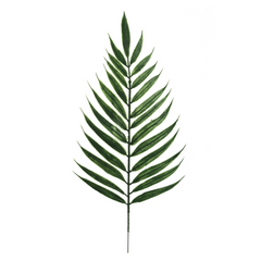 17" Emerald Fern Pick - Larksilk