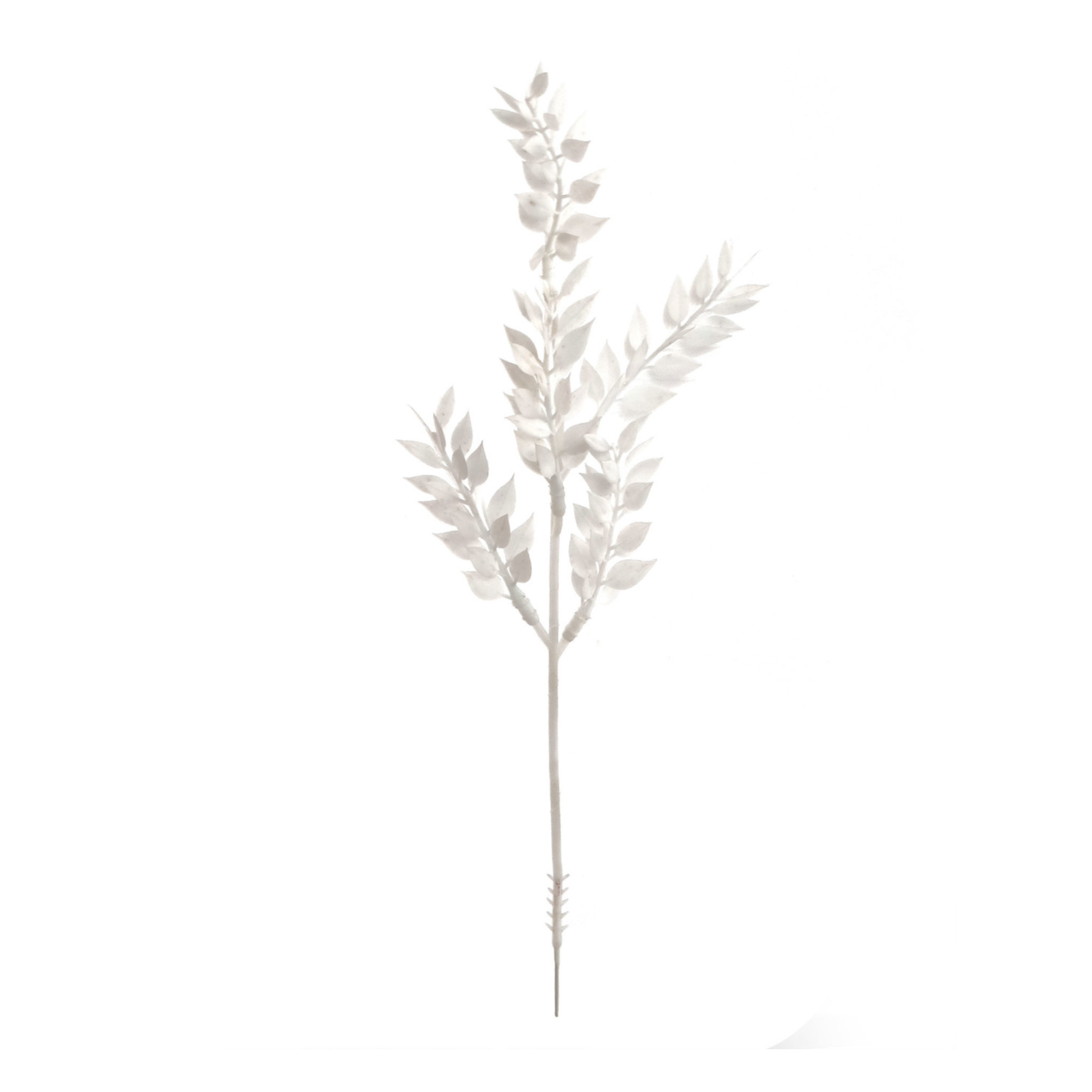 13" Ruscus Spray - Larksilk