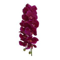 41" Phalaenopsis Orchid Stem - Larksilk