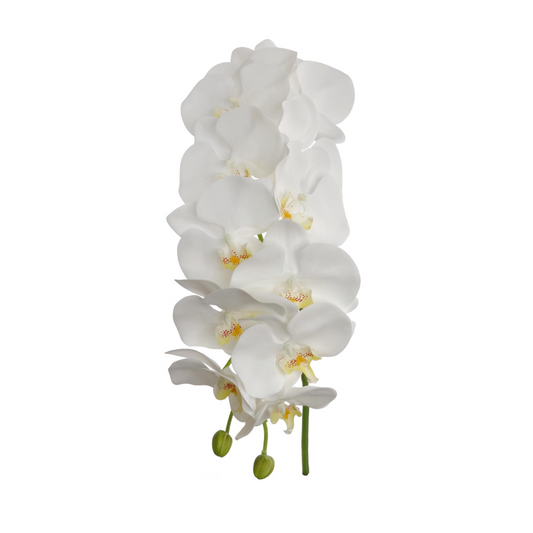41" Phalaenopsis Orchid Stem - Larksilk