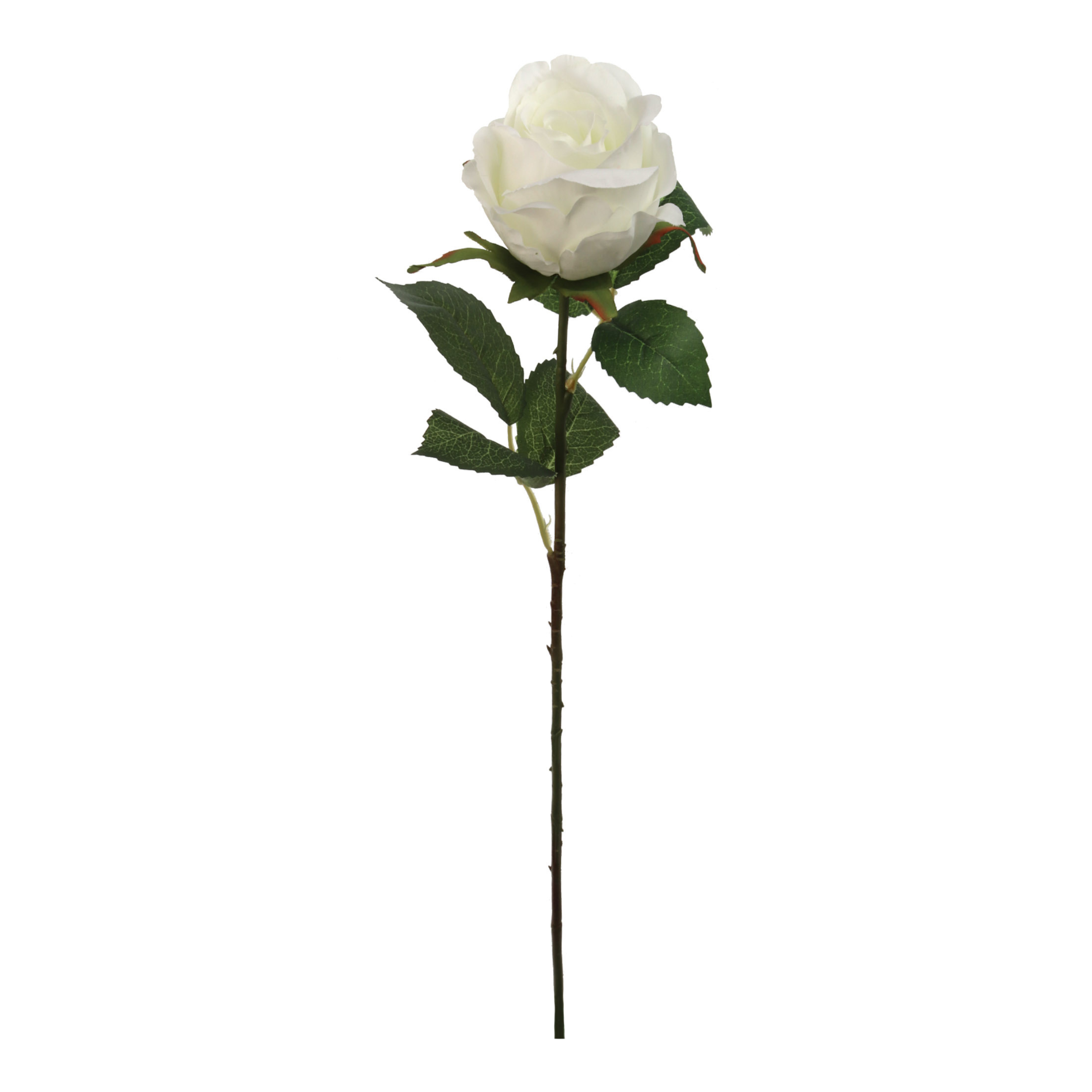20" Rose Bud Stem - Larksilk