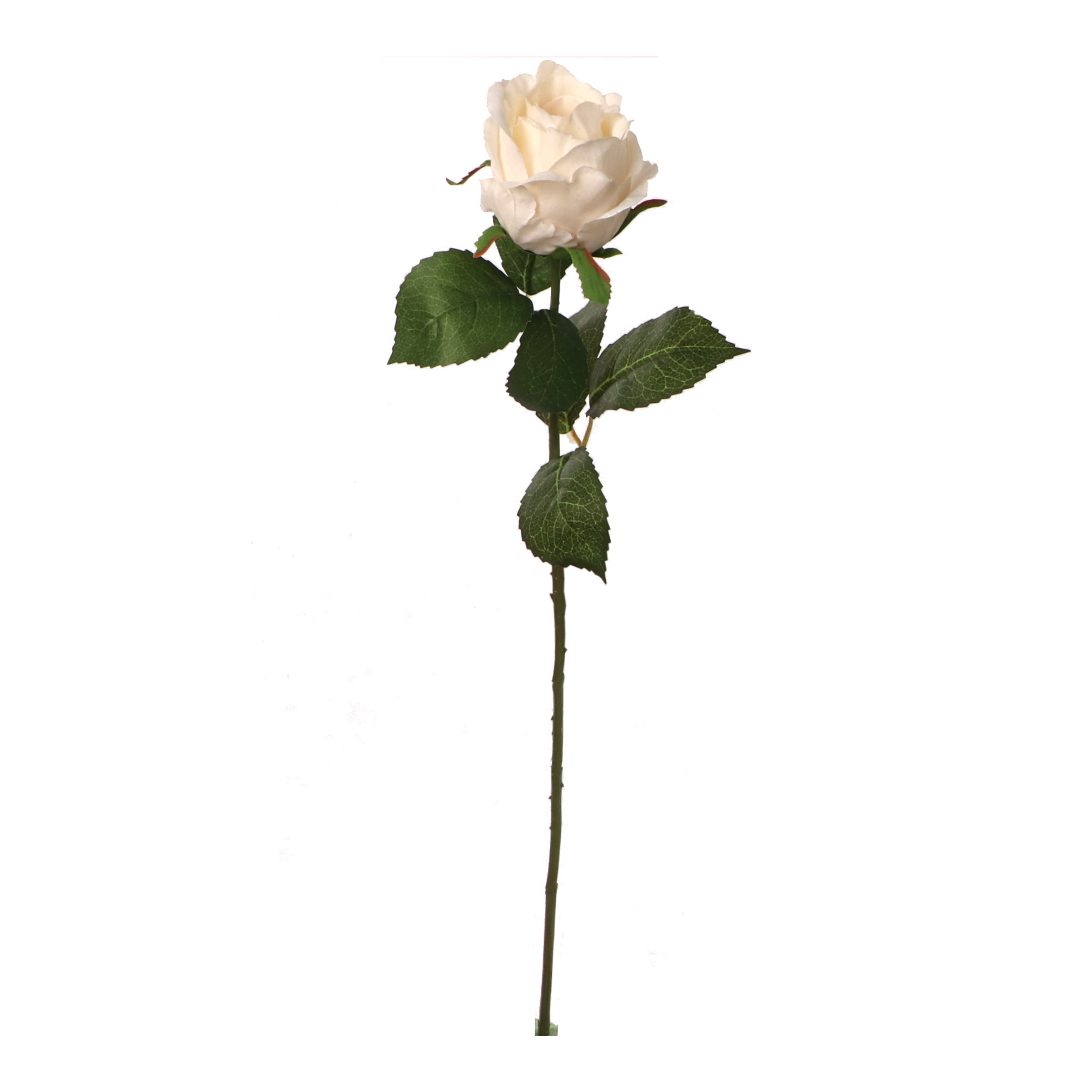 20" Rose Bud Stem - Larksilk
