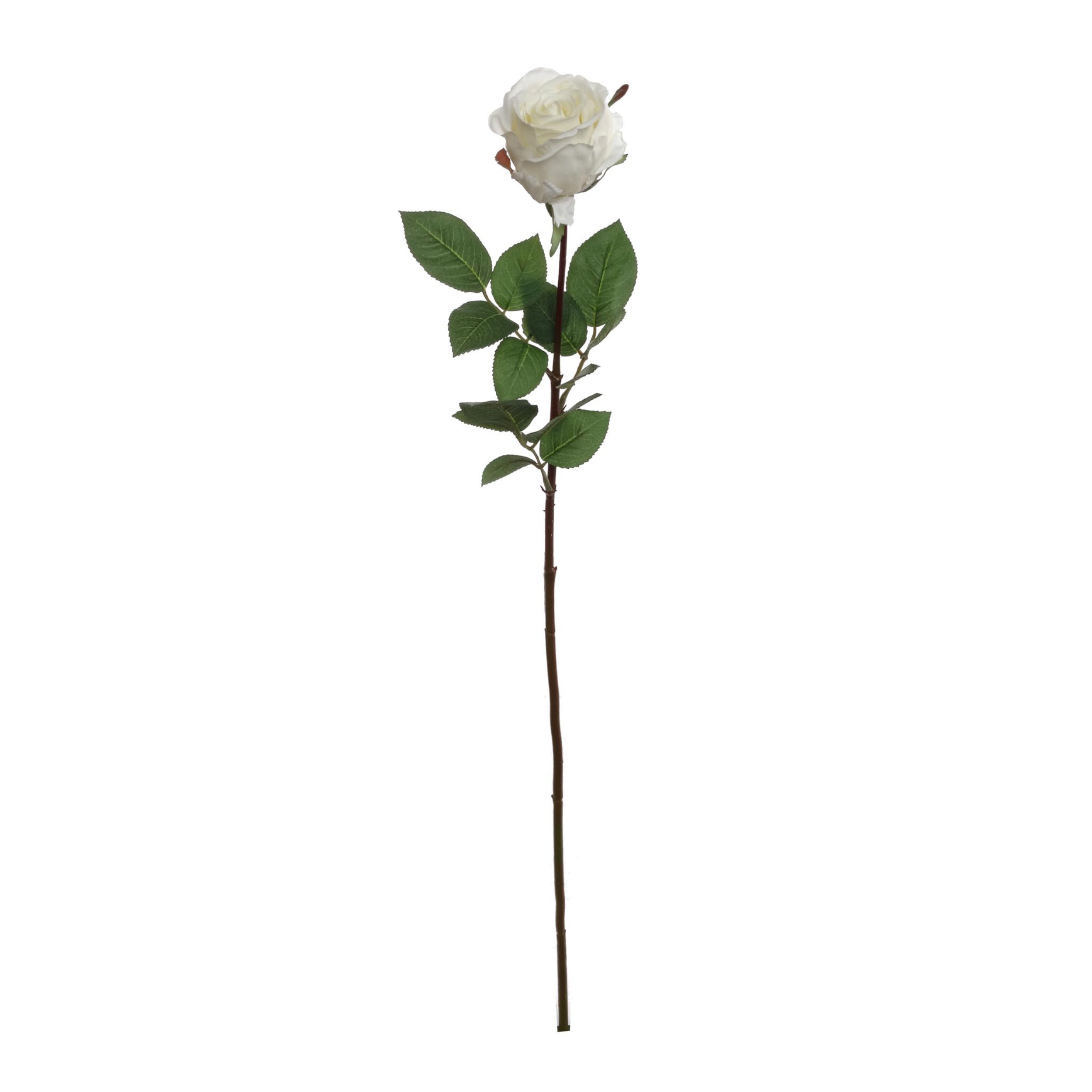30" Rose Bud Stem - Larksilk