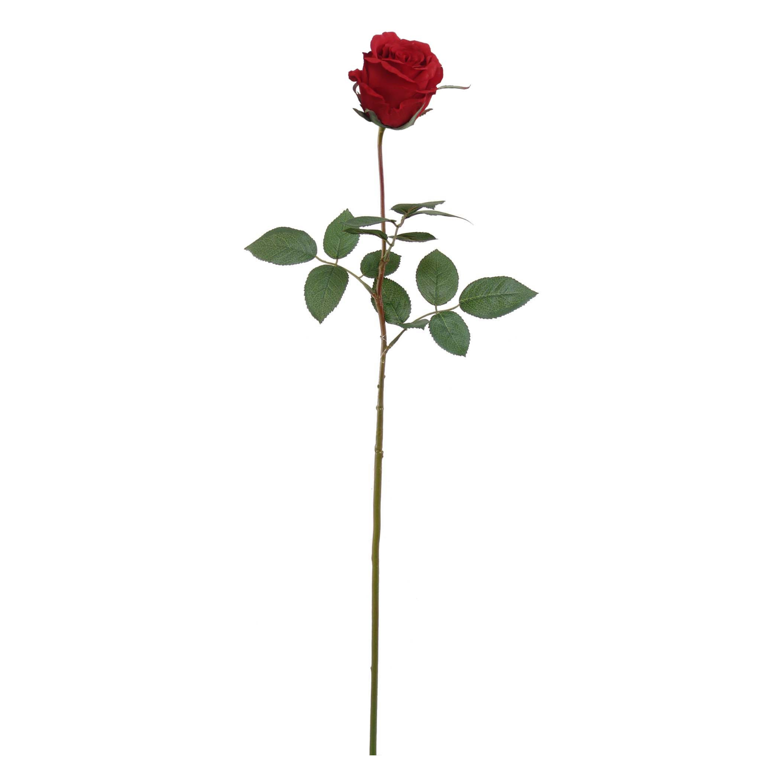 30" Rose Bud Stem - Larksilk