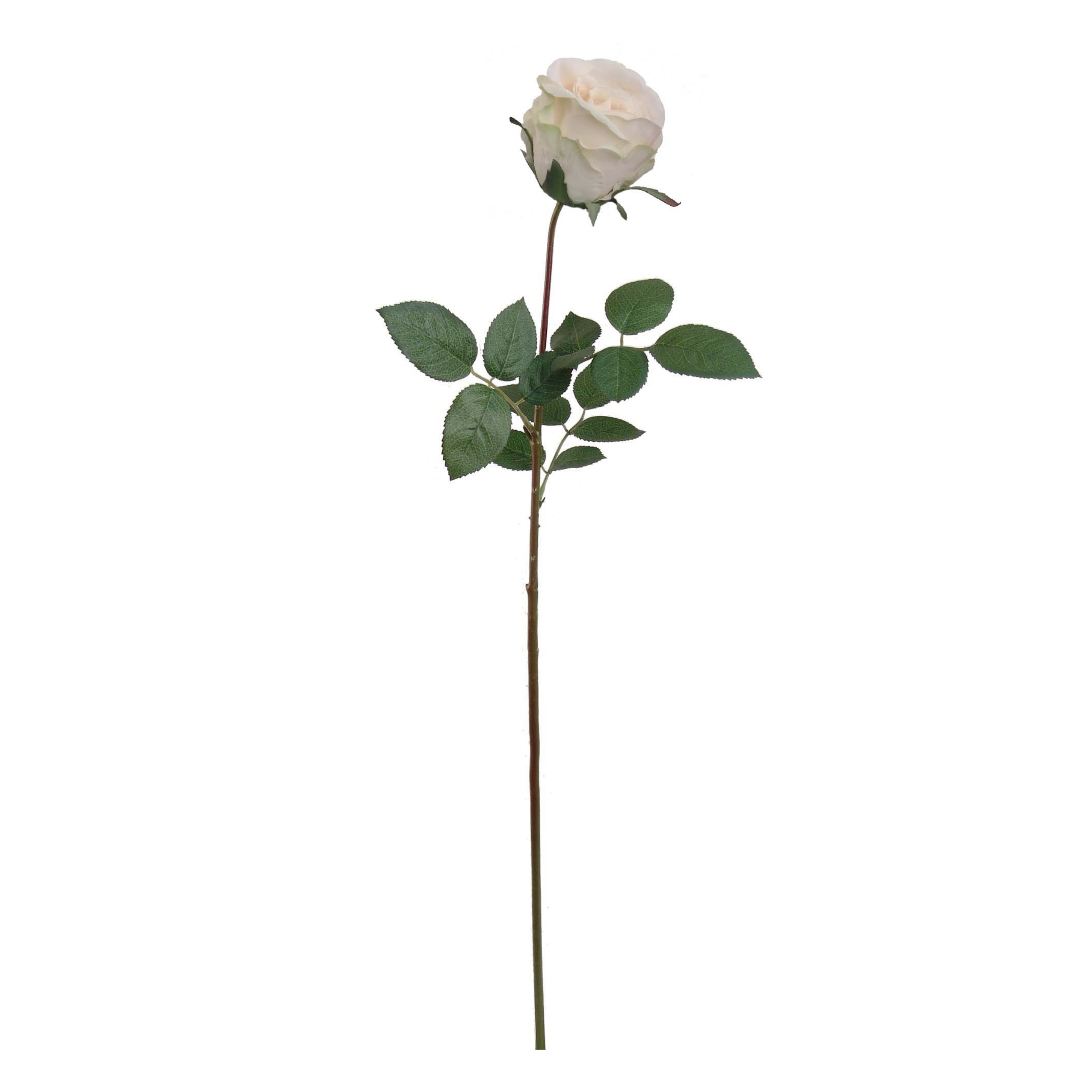 30" Rose Bud Stem - Larksilk