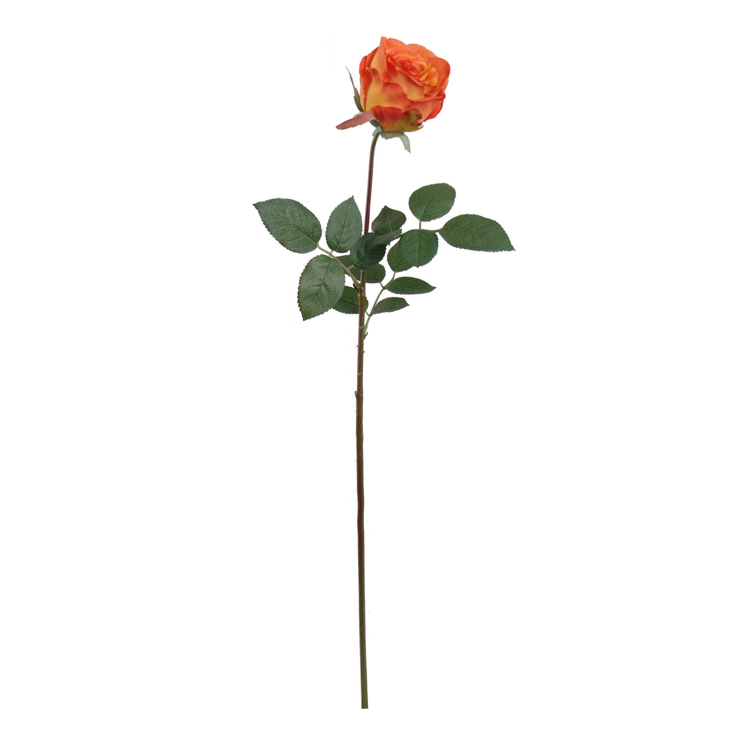 30" Rose Bud Stem - Larksilk