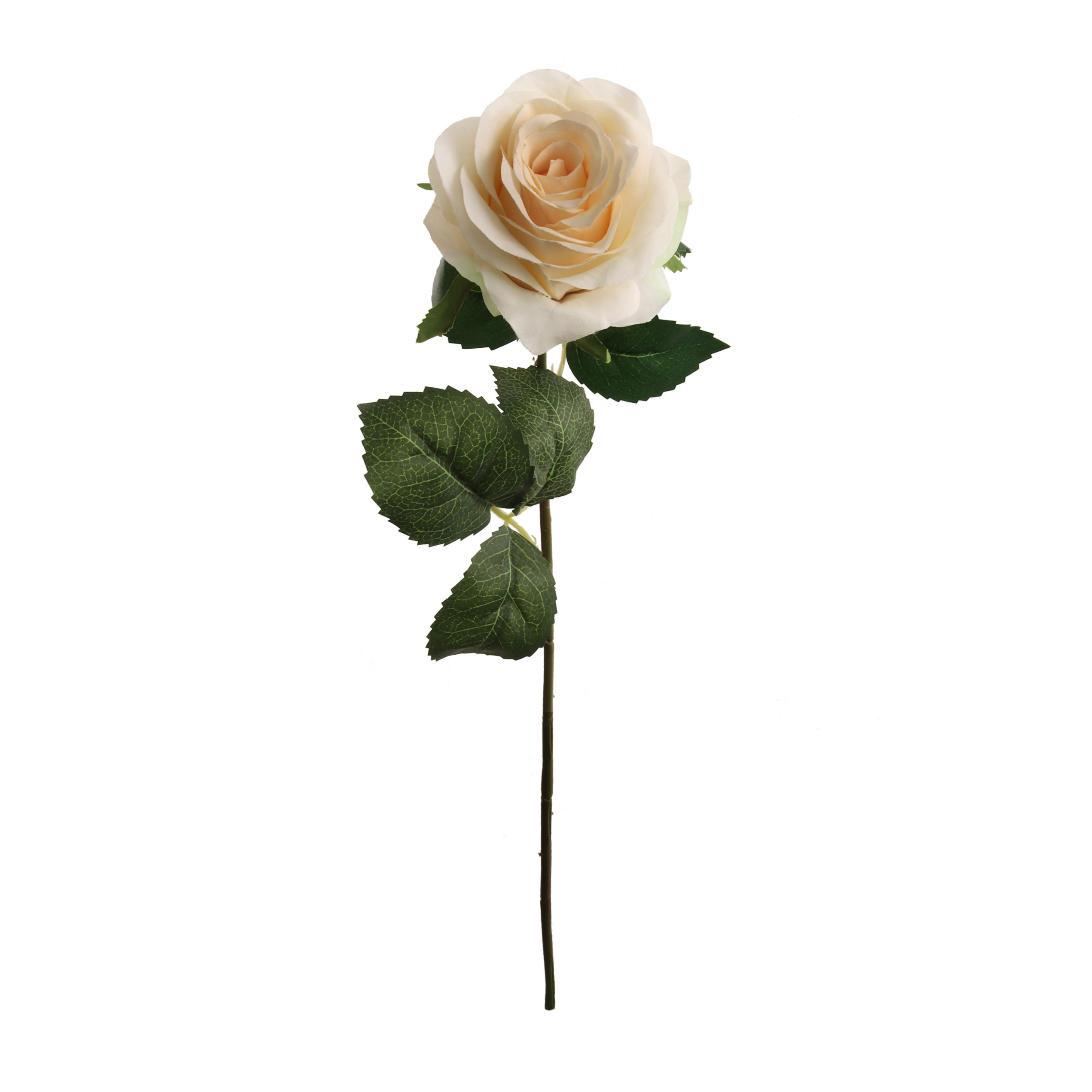 20" Open Rose Stem -2025 Spring Collection - Larksilk