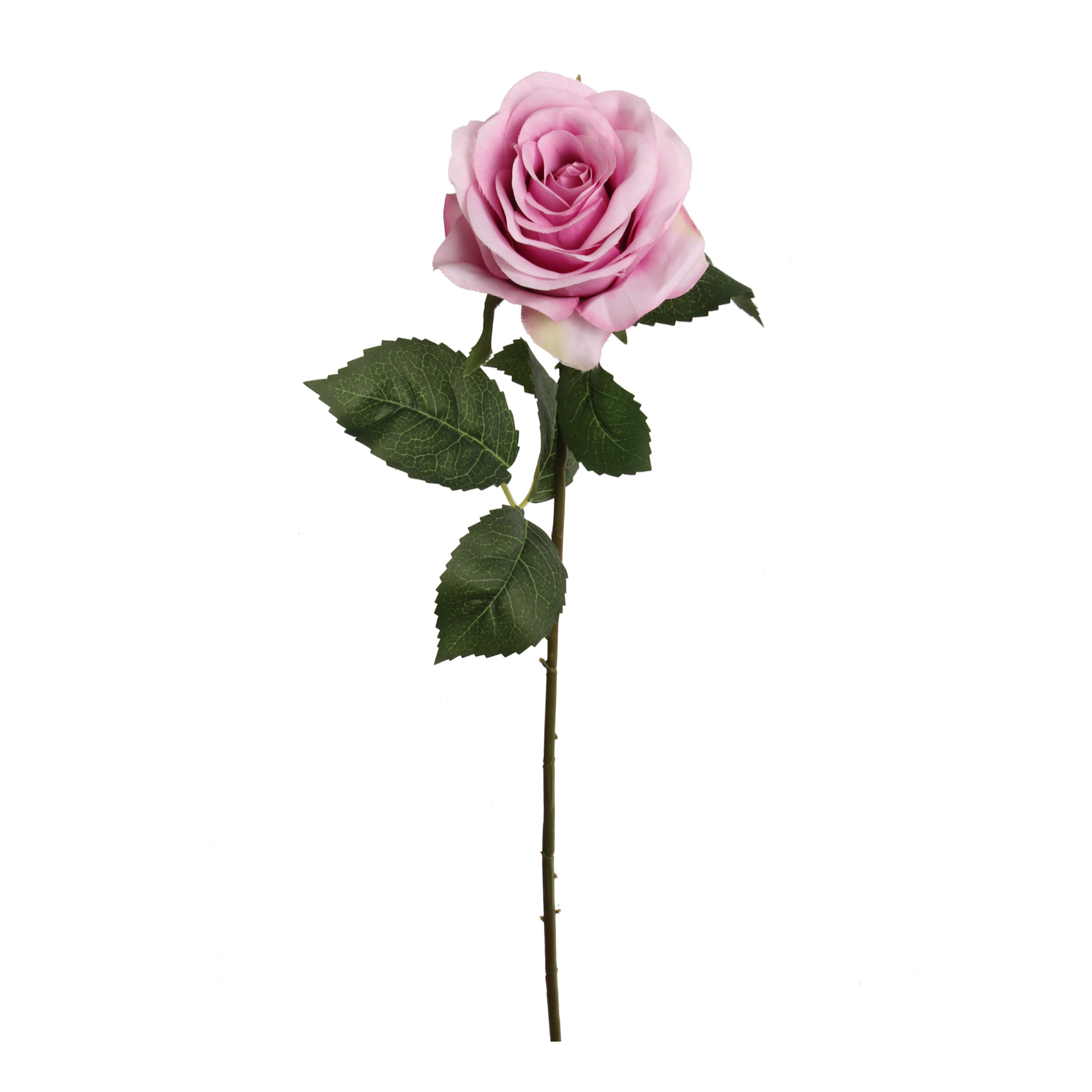 20" Open Rose Stem -2025 Spring Collection - Larksilk
