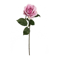 20" Open Rose Stem -2025 Spring Collection - Larksilk