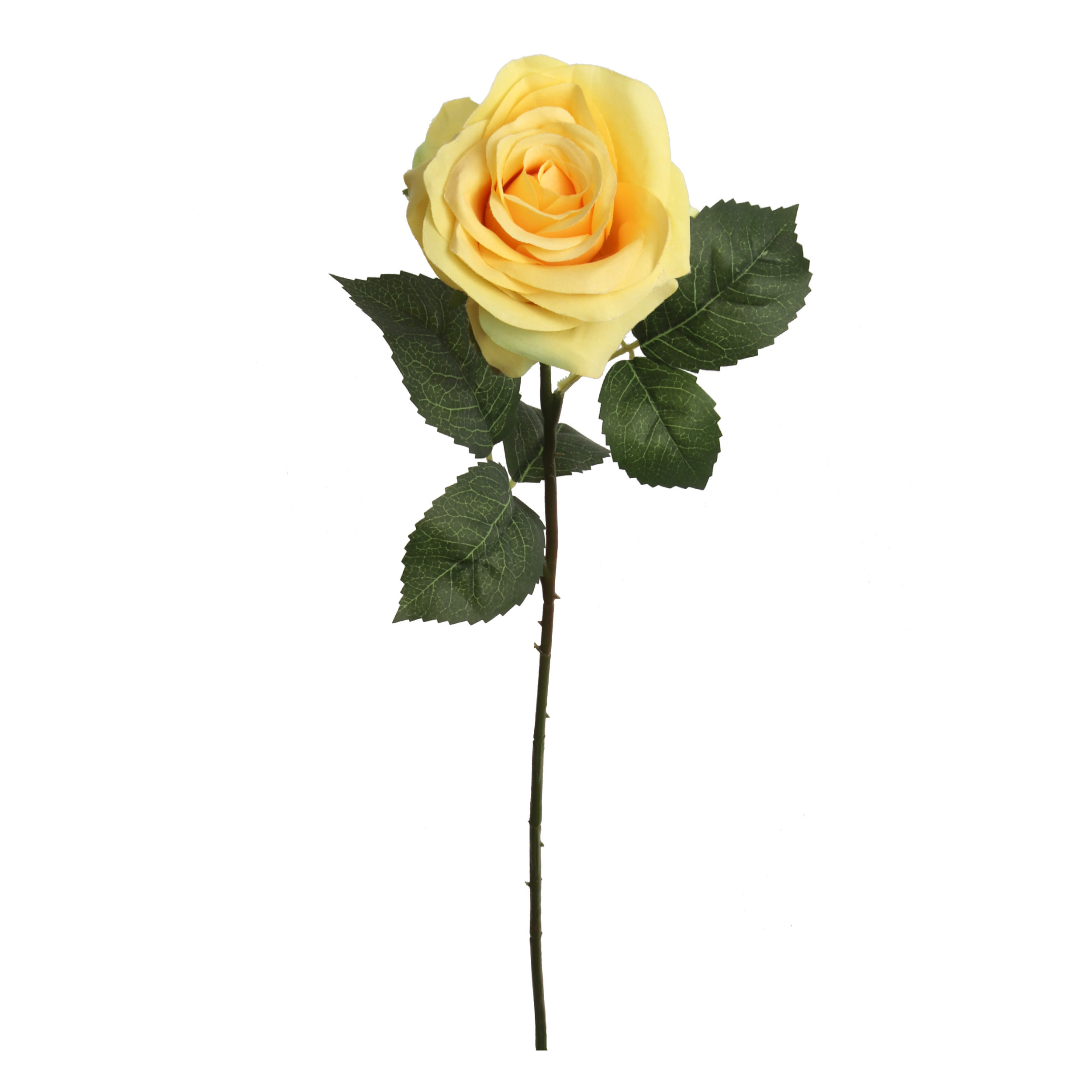 20" Open Rose Stem -2025 Spring Collection - Larksilk