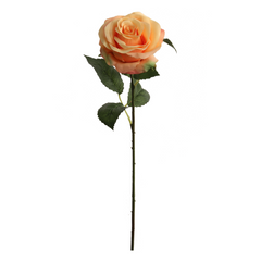 20" Open Rose Stem -2025 Spring Collection - Larksilk
