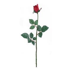 27" Planters Rose Bud Stem - Larksilk