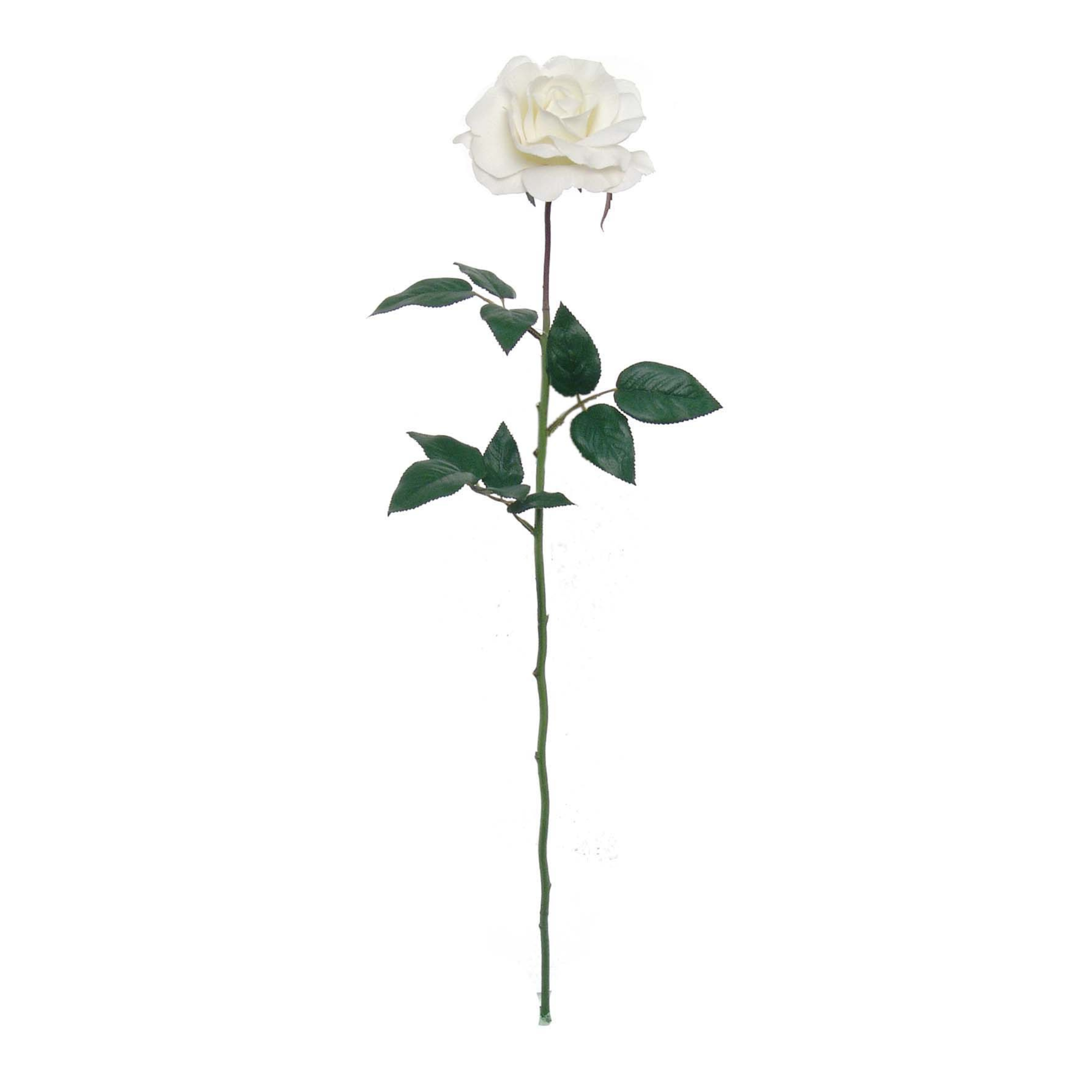 28" Planters Rose Stem - Larksilk