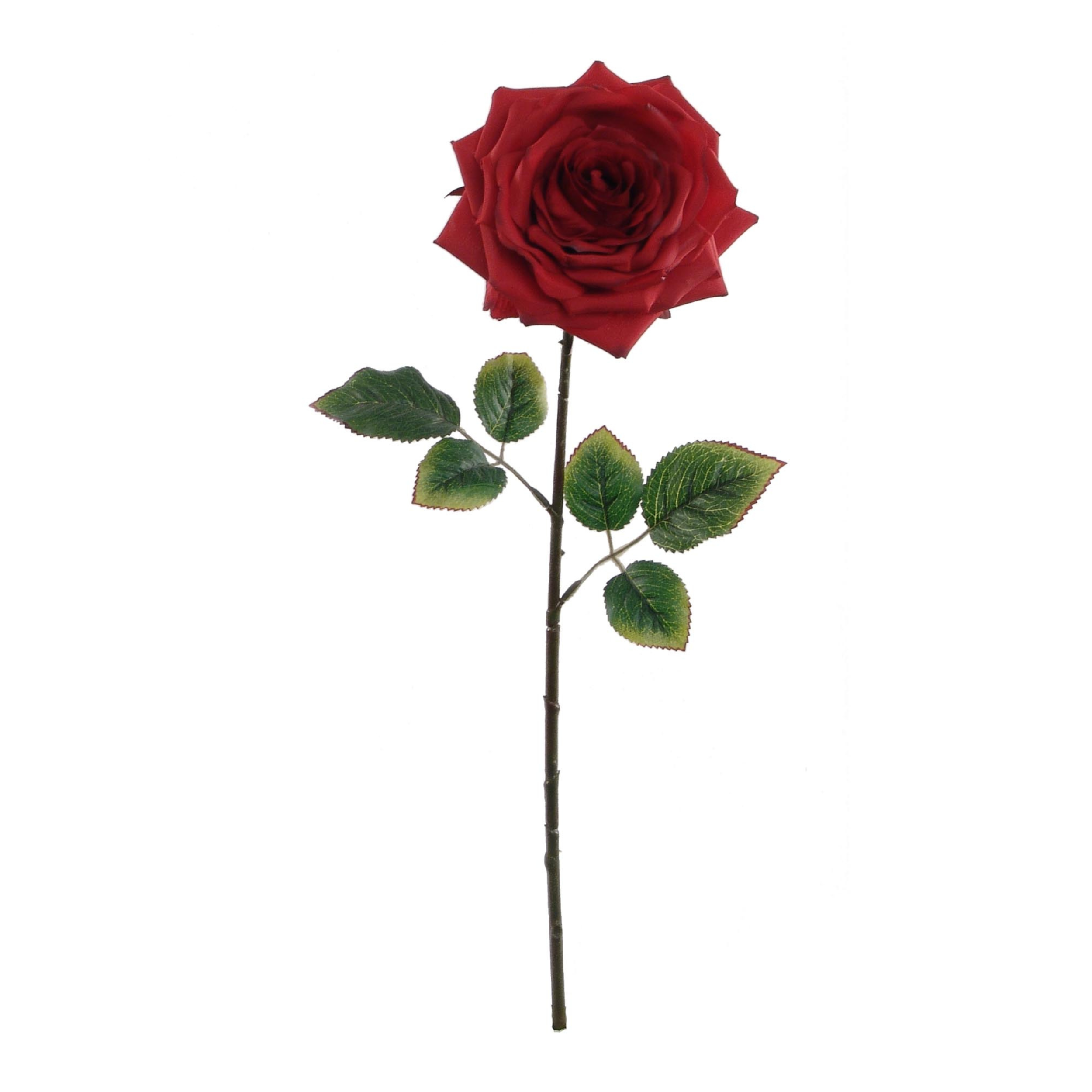 20" Open Rose Stem - Larksilk