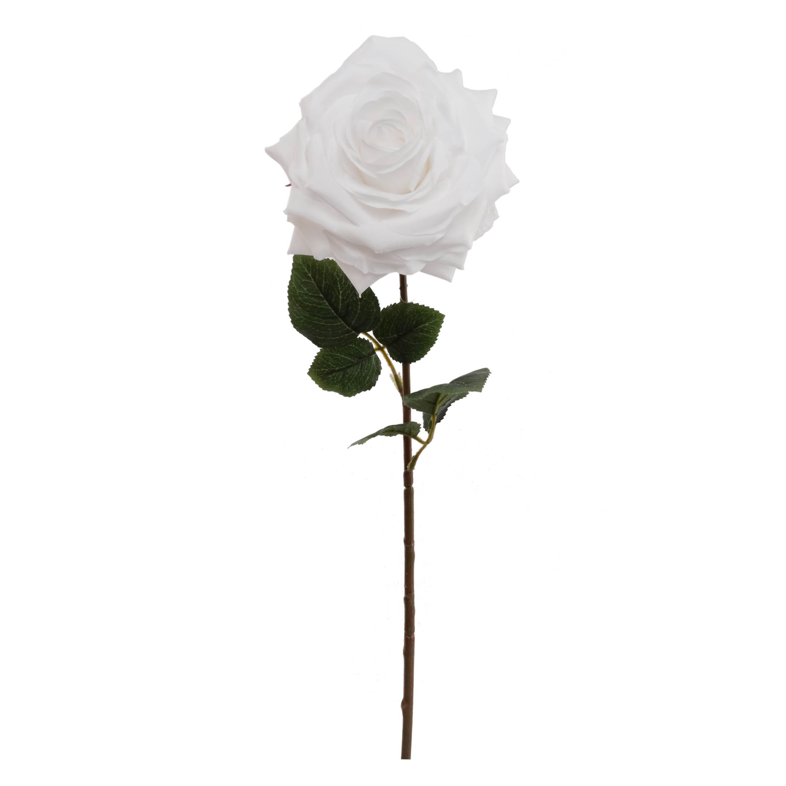 20" Open Rose Stem - Larksilk