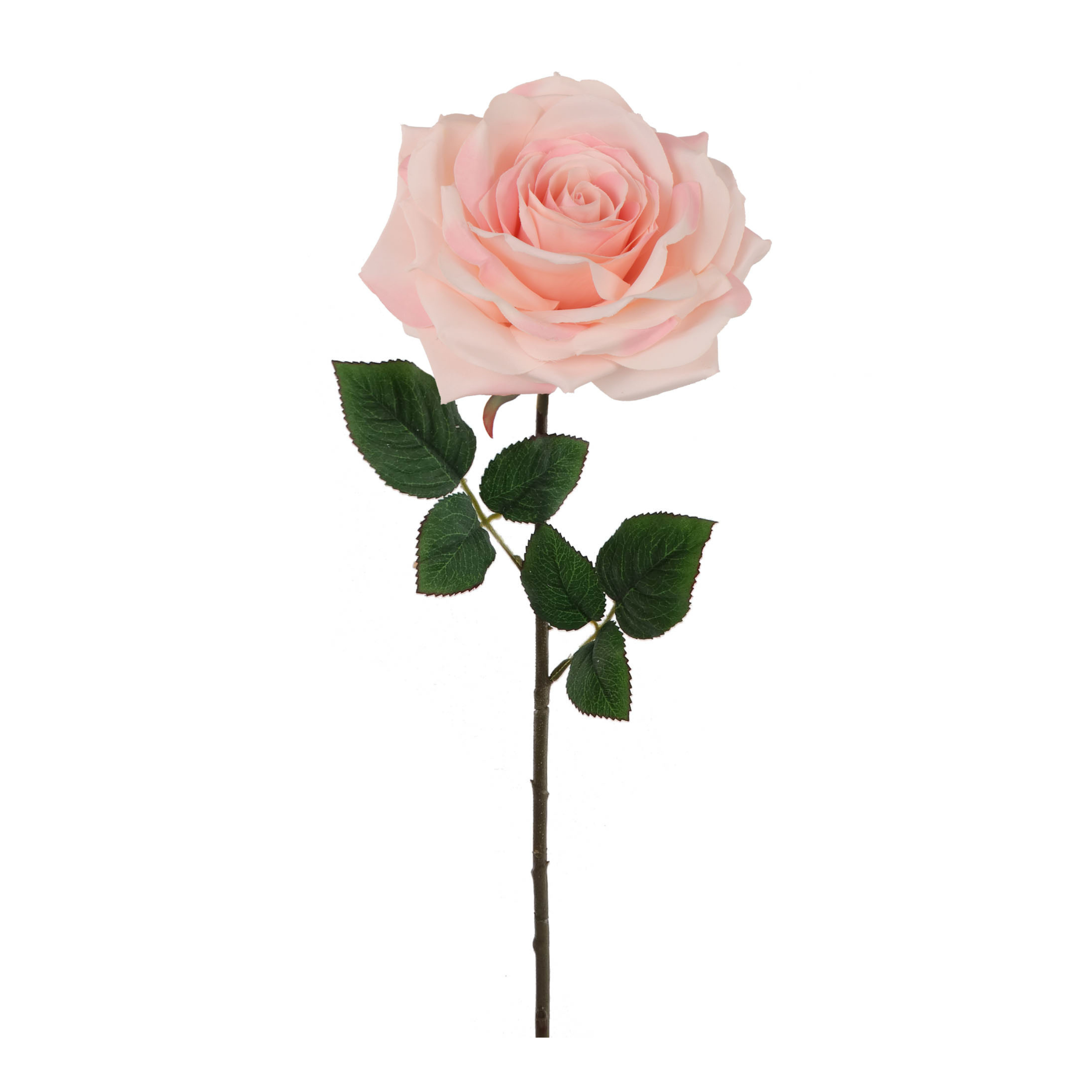 20" Open Rose Stem - Larksilk