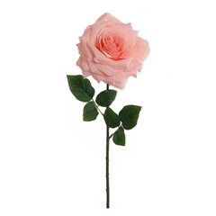 20" Open Rose Stem - Larksilk