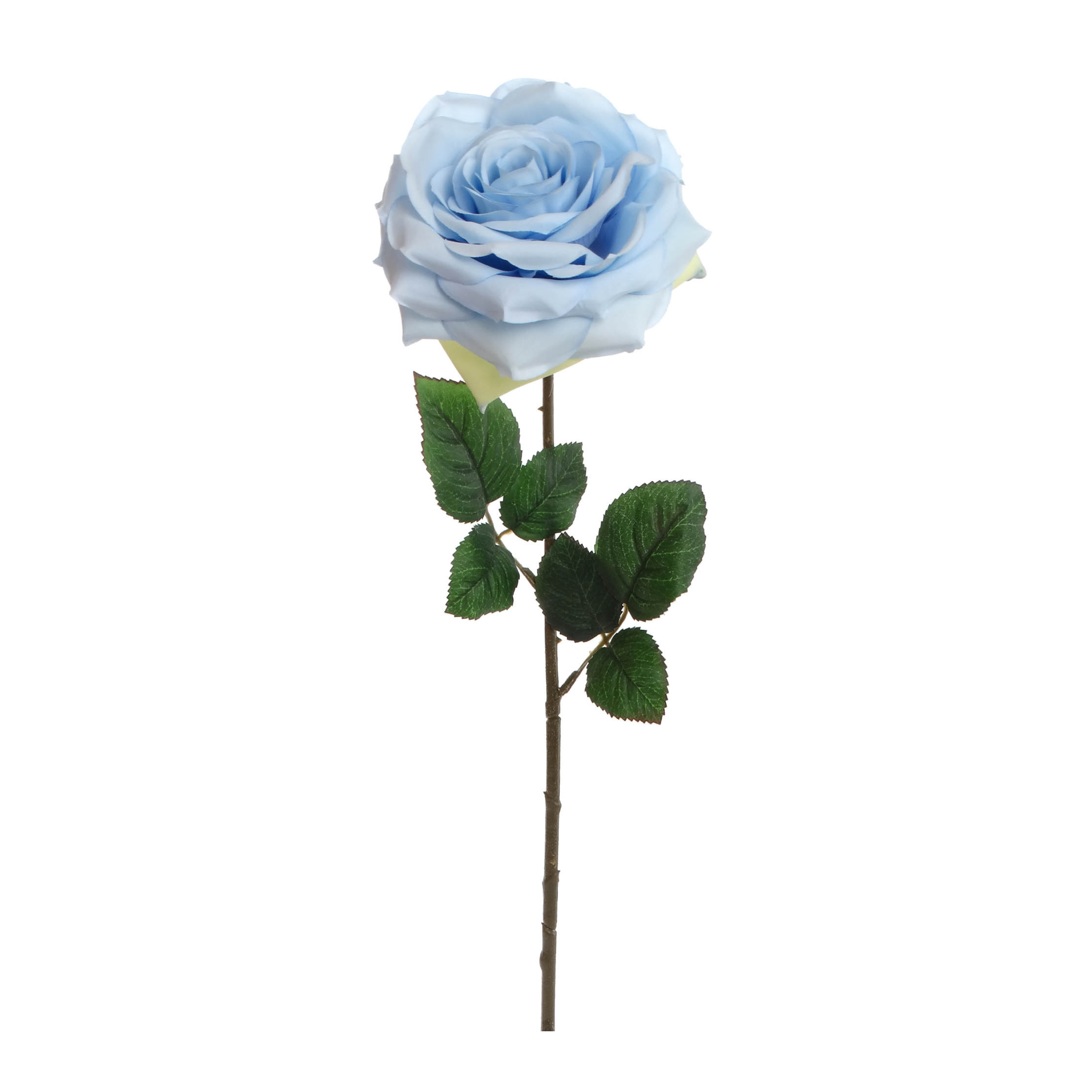 20" Open Rose Stem - Larksilk