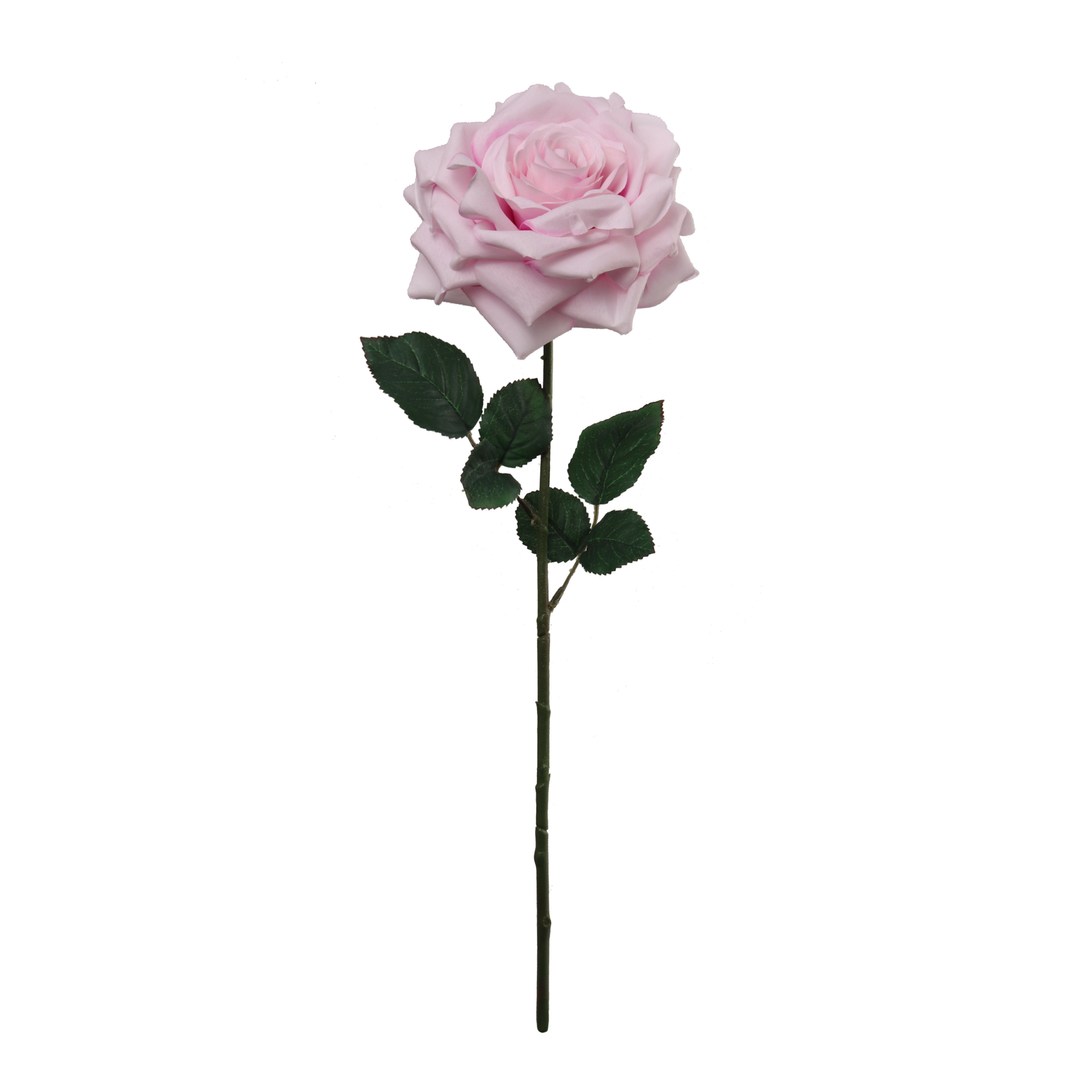 20" Open Rose Stem - Larksilk