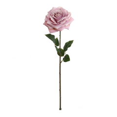 20" Open Rose Stem - Larksilk