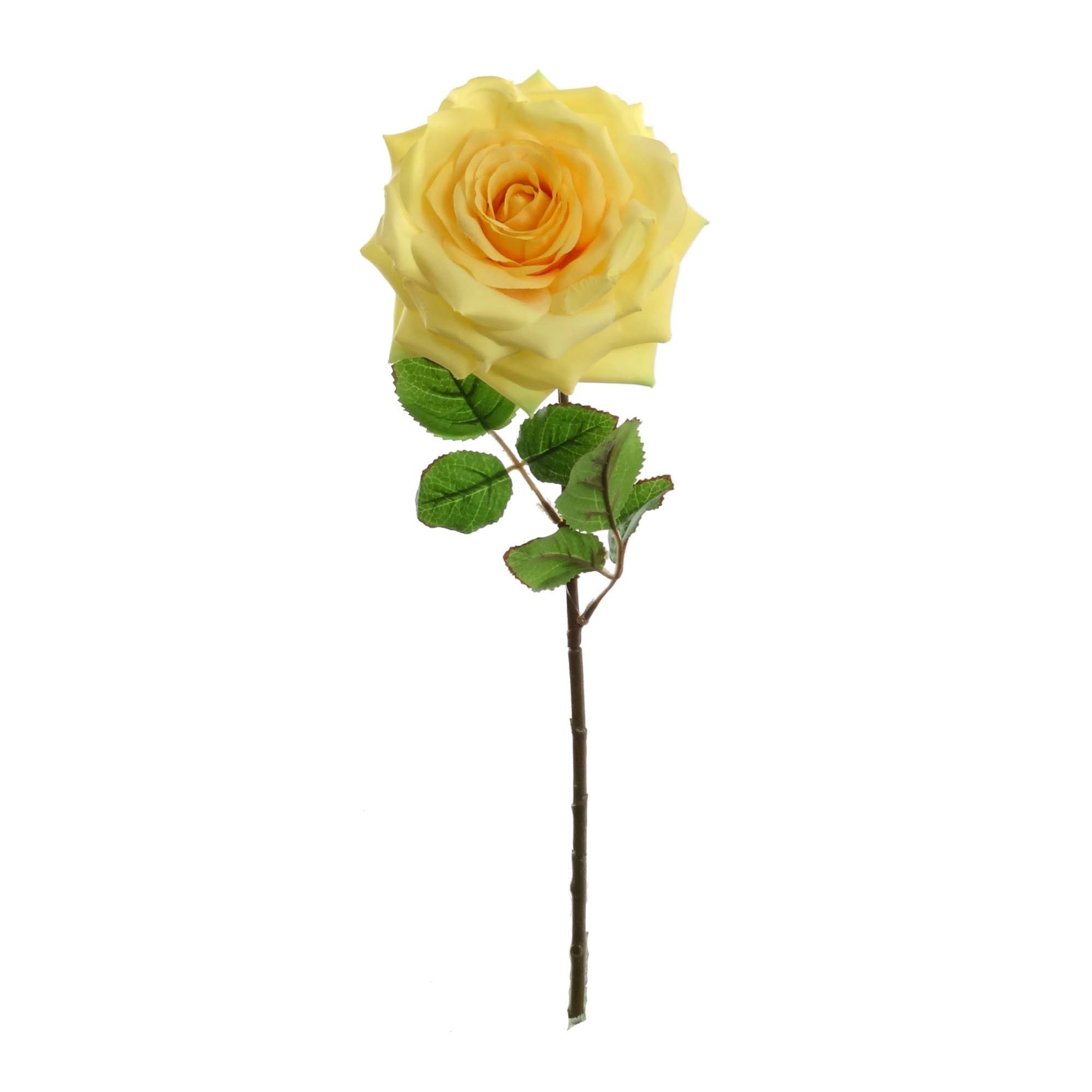20" Open Rose Stem - Larksilk