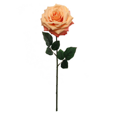 20" Open Rose Stem - Larksilk