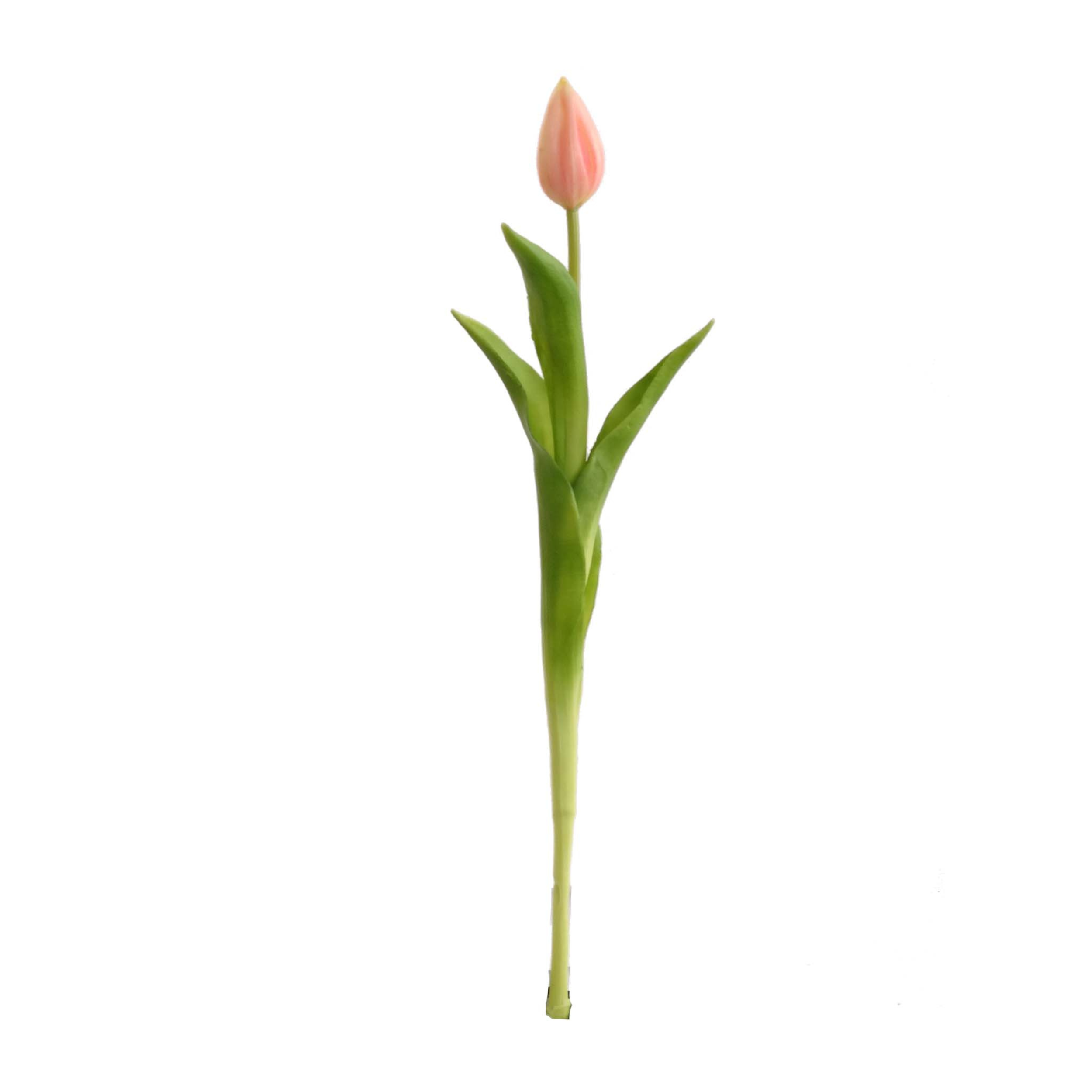 17" Real Touch Tulip Bud Stem - Larksilk