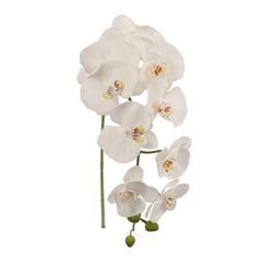 33.5" Phalaenopsis Orchid Stem - Larksilk