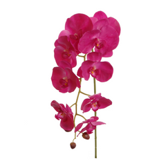 33.5" Phalaenopsis Orchid Stem - Larksilk