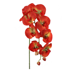33.5" Phalaenopsis Orchid Stem - Larksilk