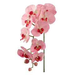 33.5" Phalaenopsis Orchid Stem - Larksilk