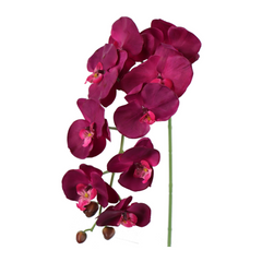 33.5" Phalaenopsis Orchid Stem - Larksilk