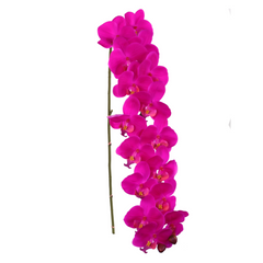 49" Phalaenopsis Orchid Stem