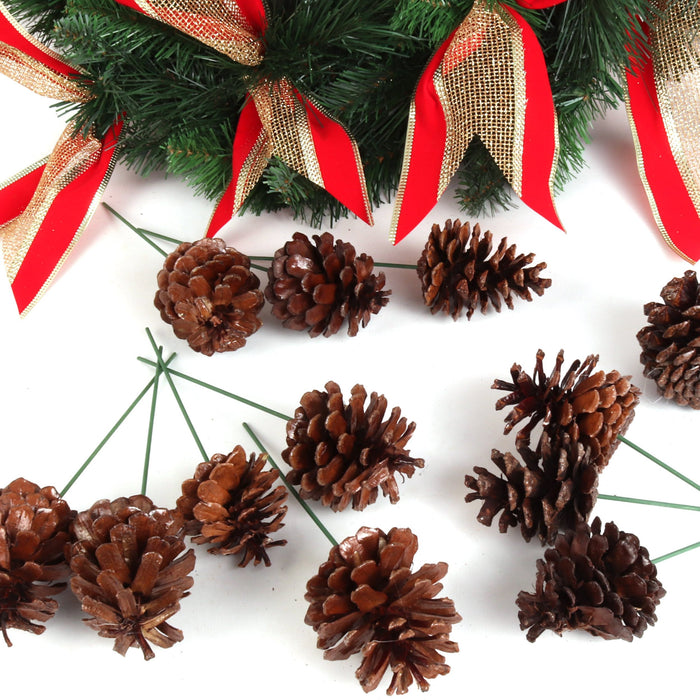 Pine Cones