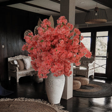 Blossoms