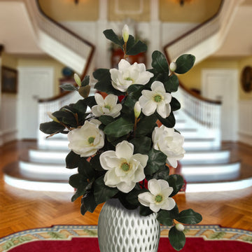 Magnolias