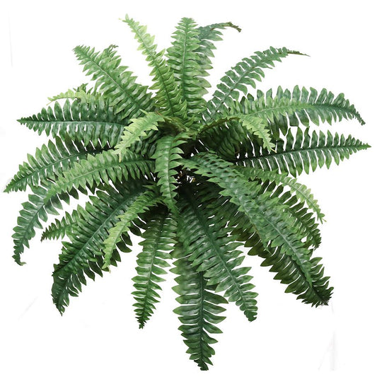 Boston Fern 34" Diameter with 30 Fronds - Larksilk