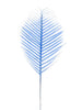 Blue White