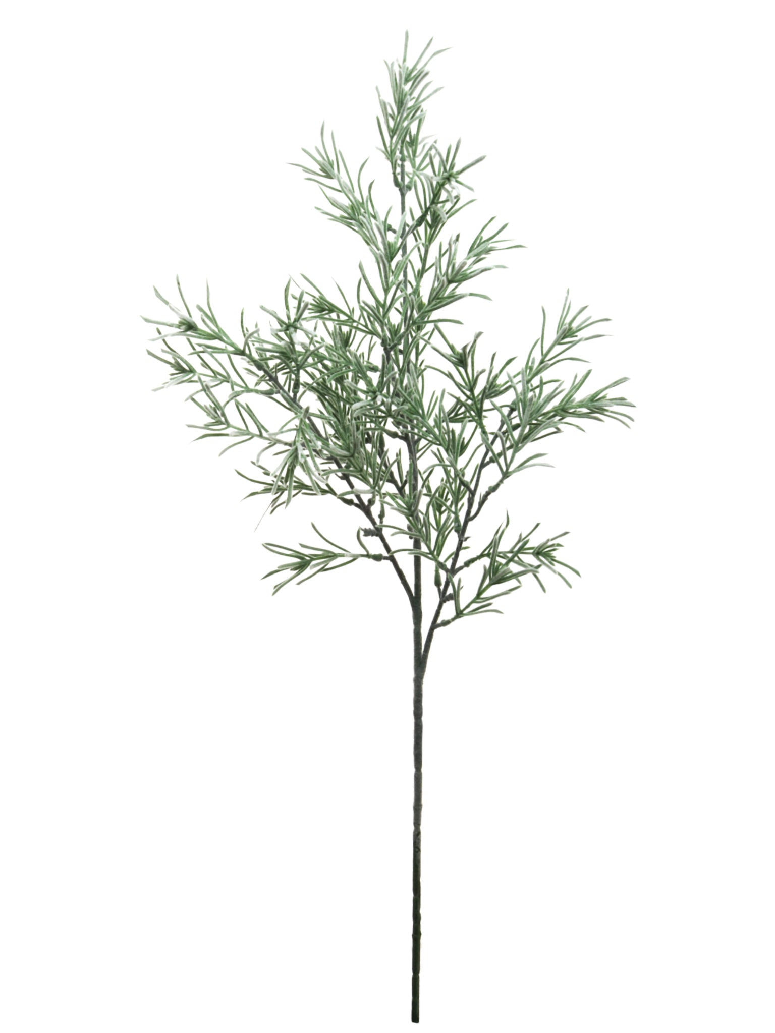 31"PODOCARPUS SPRAY 45 Leaves - Larksilk