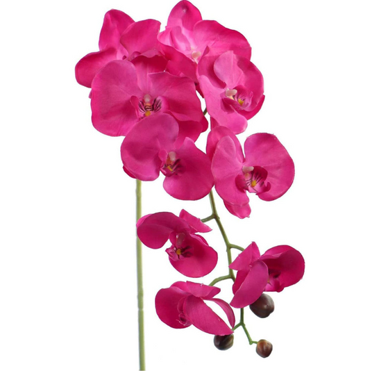 33.5" PHAL 9FL (2/PC BAG) - Fuschia